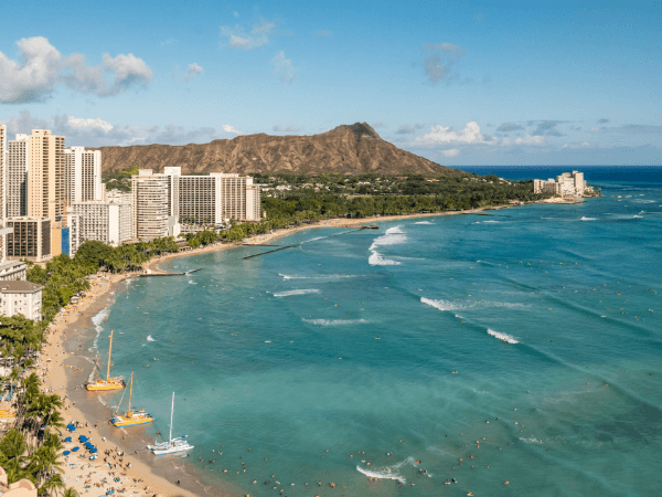 ハワイの文化を伝えている